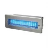 Dakota Outdoor Blue LED Brick Light Brushed Stainless Steel 2W
